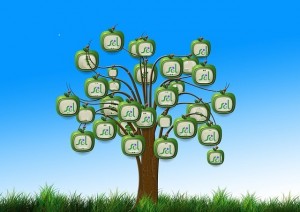 arbre-finance