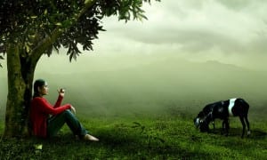 sante-nature