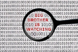 big-brother