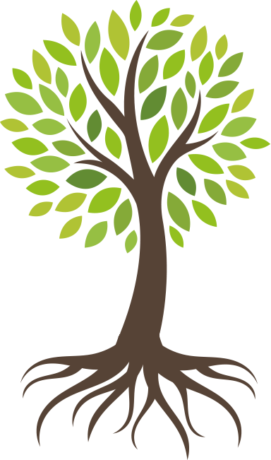 arbre transition